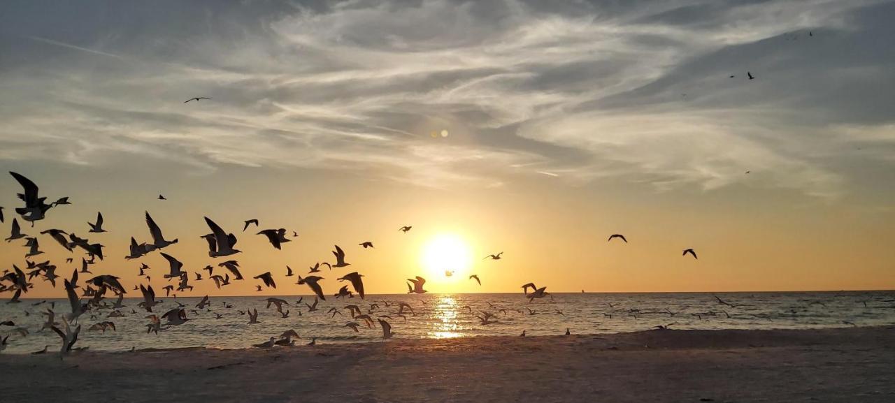 Sunset Vistas 211N Villa St. Pete Beach Dış mekan fotoğraf