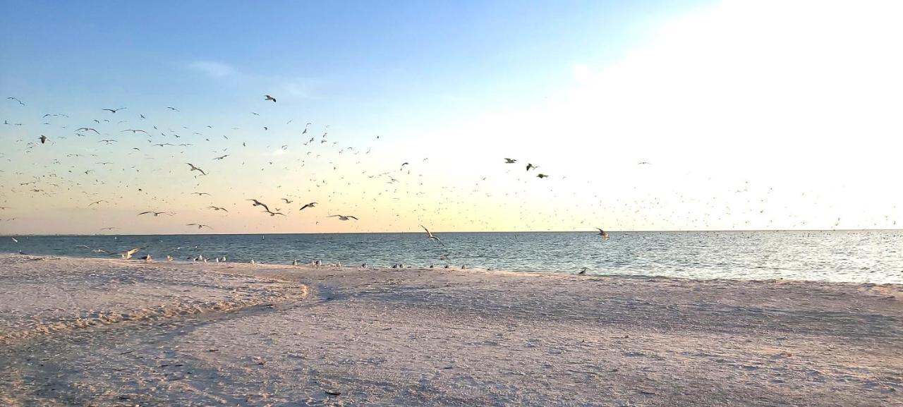 Sunset Vistas 211N Villa St. Pete Beach Dış mekan fotoğraf